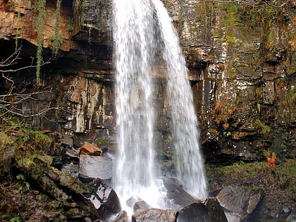 Melincourt Falls