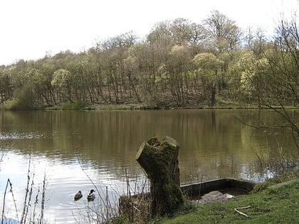 deep hayes country park cheddleton
