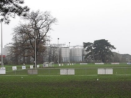 Widemarsh Common