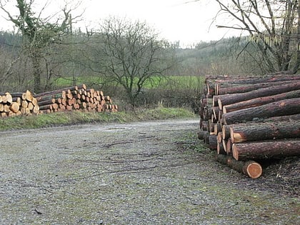 Harridge Wood