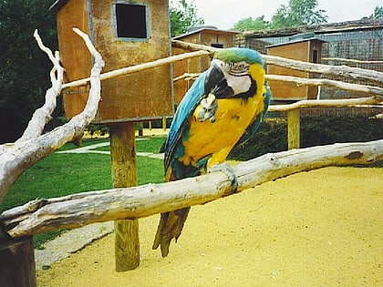 birdworld farnham