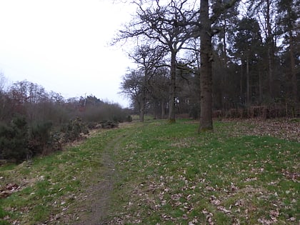 Harlestone Heath