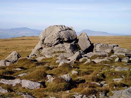 forest of bowland