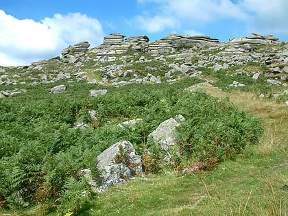 kilmar tor redlake meadows hoggs moor