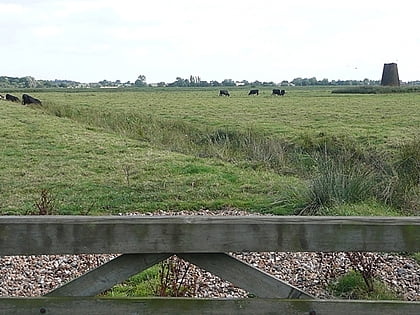 Ludham – Potter Heigham National Nature Reserve