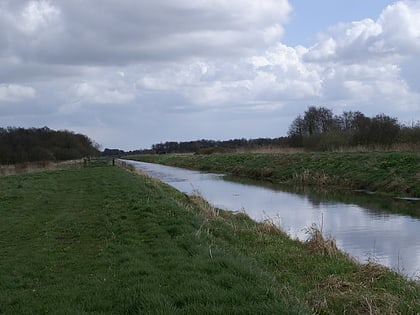 Shapwick Heath