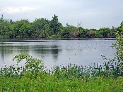 Chigborough Lakes