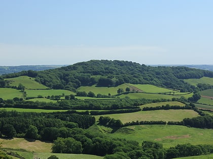 lewesdon hill
