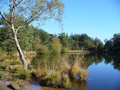 Thursley