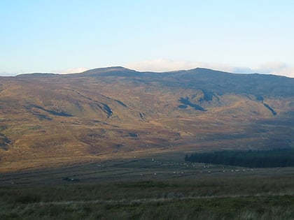 gallt y daren park narodowy snowdonia