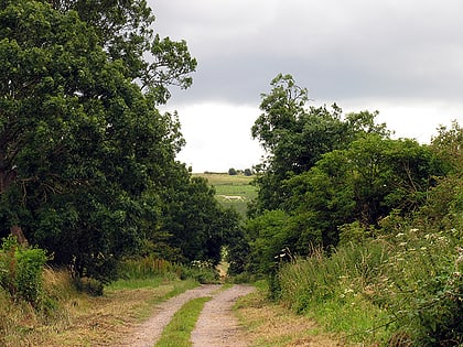 Pewsey White Horse