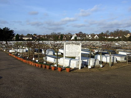 golders green jewish cemetery londyn