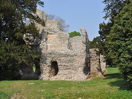 weeting castle thetford forest