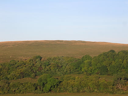 harrow hill storrington