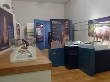 museum torquay
