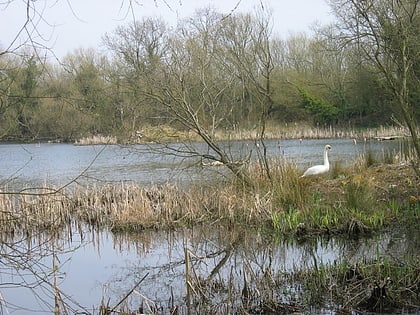 Joe's Pond