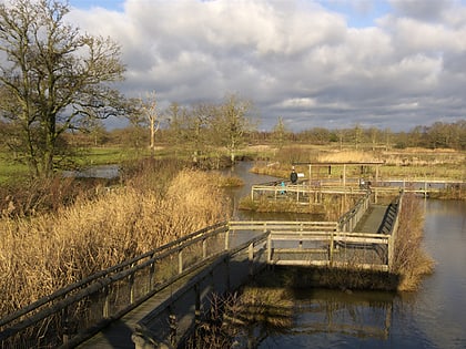 british wildlife centre lingfield