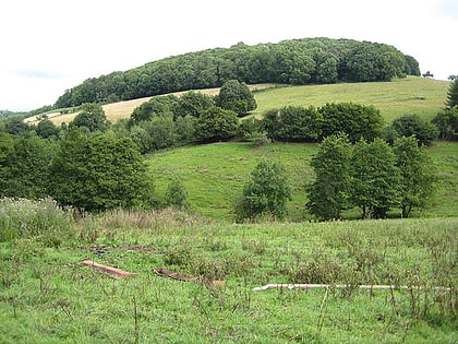 astridge wood letcombe valley