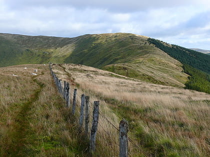 mynydd ceiswyn dolgellau