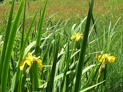 fremington local nature reserve