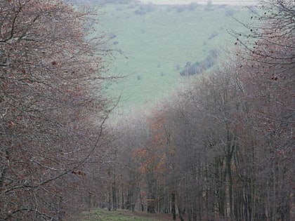 melbury down