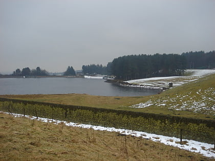 dingle reservoir bolton