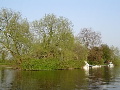 Thames Ditton Island