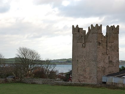 kilclief castle