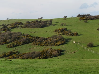 coombe hill sussex downs aonb