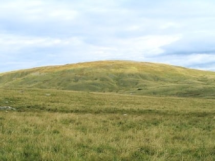 foel fraith brecon beacons