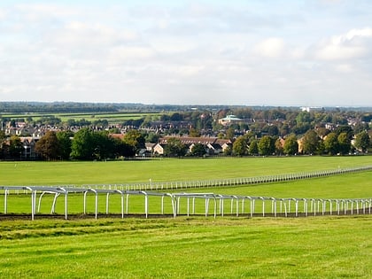 newmarket