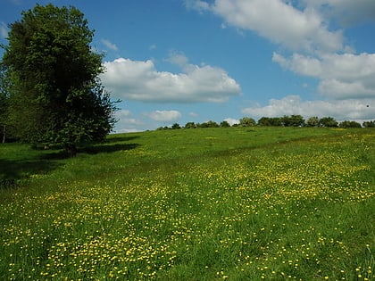 puckham woods park wodny cotswold