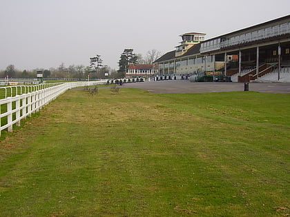 lingfield park racecourse