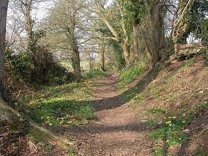 avon valley path salisbury