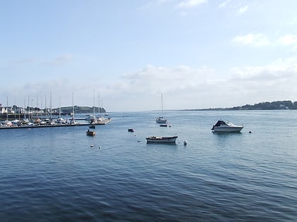 strangford lough