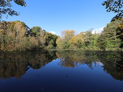 Miller's Pond