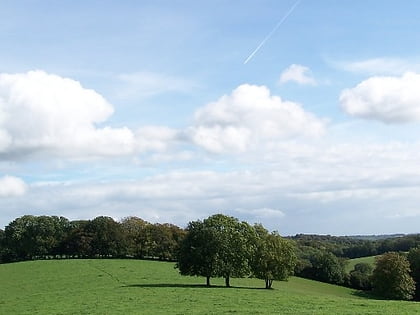 chiltern hills