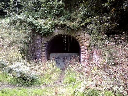 sandsend tunnel runswick bay