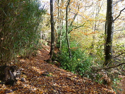 brook brick pit chiddingfold