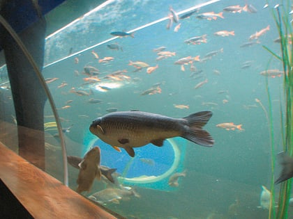 lakes aquarium