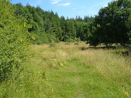 quants reserve ringdown sssi