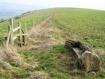 Kingston Escarpment and Iford Hill