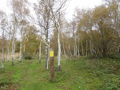 ripple nature reserve london