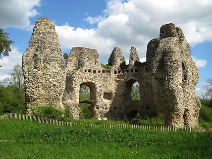 Odiham Castle