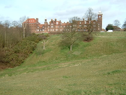 mousehold heath norwich