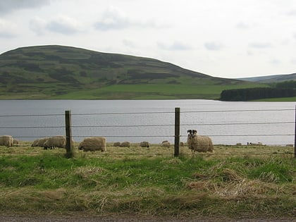 whiteadder reservoir