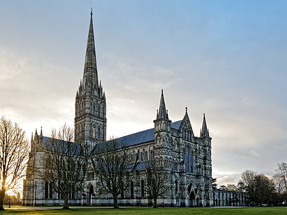 katedra salisbury