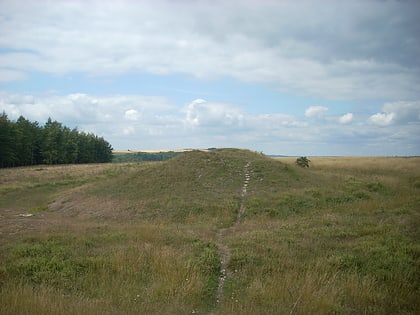 the devils jumps sussex downs aonb