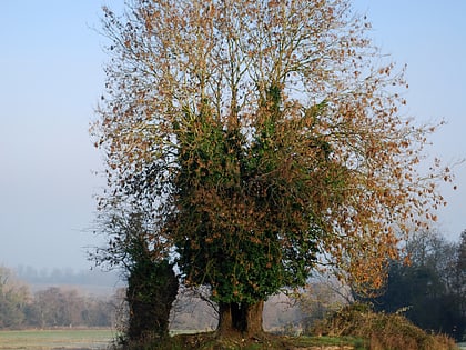 St. Edmund's Chapel