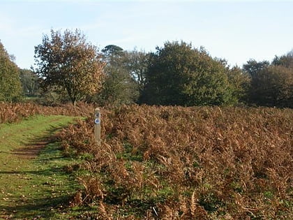 puttenham and crooksbury commons elstead